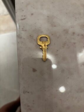 Louis Vuitton gold Key #320